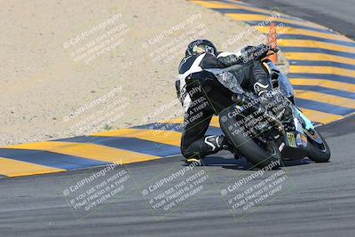 media/Feb-04-2023-SoCal Trackdays (Sat) [[8a776bf2c3]]/Turn 10 Backside (1010am)/